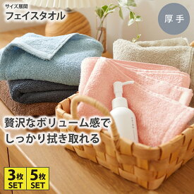 《〜11/11 1:59まで！P5倍×クーポン》フェイス タオル 3枚セット 5枚セット Dailycolor【肌ざわりのいいボリュームタイプ】フェイスタオルセット綿100％ 34×80cm 一人くらし ファミリー 新生活 nissen ニッセン