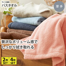 《〜11/11 1:59まで！P5倍×クーポン》バスタオル セット 2枚セット 4枚セット Dailycolor【肌ざわりのいいボリュームタイプ】バスタオルセット 一人くらし ファミリー 新生活 nissen ニッセン