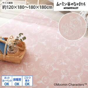 s`11/11 1:59܂ŁIP5{×N[|tObug~C^E^v O J[ybg ` ` 180×180 120×180 }bg g[Ή zbgJ[ybgΉ ~Ή 􂦂 