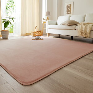 ラグ ボアラグシリーズ ウレタン入 5mm 20mm 小さいサイズ ラグマット 厚手 薄手 床暖房対応 ホットカーペット対応 こたつ対応 オールシーズン 正方形 おしゃれ シンプル 無地 足元マット 模様