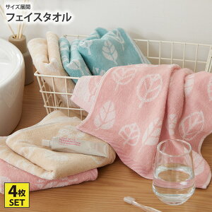 s`11/11 1:59܂ŁIP5{×N[|ttFCX^I 2F4Zbg [t@ tFCX^I ܂Ƃߔ 4Zbg 4g 4P [t i` fC[ 100 킢 ۈ牀 q ct V