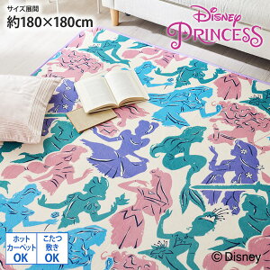 OvZXE^胉O J[ybg 180×180 I[V[Y vZX `[t LN^[ ɂHt zbgJ[ybgΉ ~Ή rO Q q 