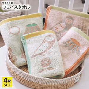 s11/16 23:59܂ŁISiP5{ty܂Ƃߔő10%OFFztFCX^I QȐX tFCX^I 2F4Zbg ^I 킢 4Zbg 100   ӂ낤 Q ܂Ƃߔ 34