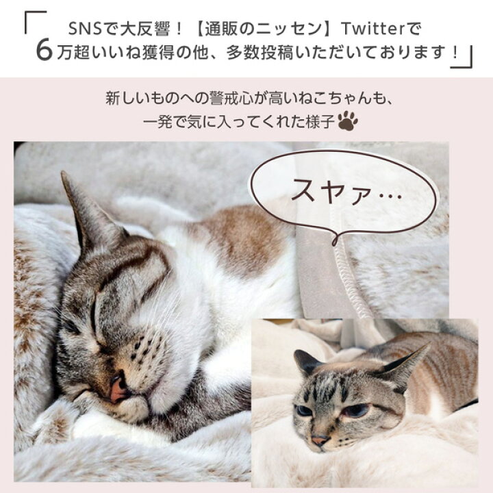 日本未発売】 まるで猫 のようなモフモフ毛布 猫Feel ニッセン シングル 新品☆まるで猫のような円形クッション♪大きいクッション♪ロシアンブルー☆t652