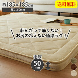 楽天市場 ニッセン ラグの通販