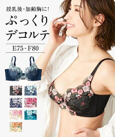 ブラジャー (E75-F80) 脇高 サイド すっきり 刺しゅう レース ブラジャー ニッセン 女性 レディース ブラ 脇肉 背肉 盛り 小胸 谷間 セクシー かわいい下着