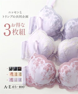 トリンプ Triumph 福袋 ブラジャー 通販 人気ランキング 価格 Com