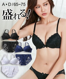 ブラジャー＆ショーツセット (A70/M-D75/M) 総レース ブラジャー ショーツセット ニッセン 女性 下着 レディース ブラセット 盛り 小胸 谷間 セクシー ブラショーツ