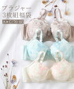 ブラジャー (A70-C85) おまかせ 福袋 デイリー ブラジャー 3枚組 ニッセン 女性 下着 レディース ブラジャー まとめ買い お買い得 ブラセット かわいい下着