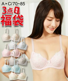 ブラジャー (A70-C85) おまかせ 福袋 デイリー ブラジャー 3枚組 ニッセン 女性 下着 レディース ブラジャー まとめ買い お買い得 ブラセット かわいい下着