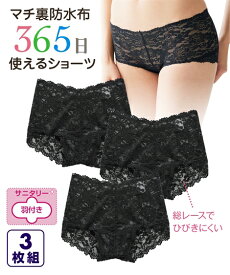 ショーツ パンツ パンティ S M L 生理 日前後も使える 総レース サニタリー ローライズ ショーツ 昼用 3枚組 (羽付ナプキン対応) ニッセン 女性 下着 レディース