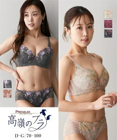 ブラショーツセット ニッセン 【大きい胸】 高嶺の ブラショーツ セット 脇高 プレミアム (DEFGカップ) 女性 下着 レディース 脇高ブラ かわいい 脇高ブラジャー