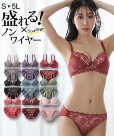 ブラジャー＆ショーツセット LL 3L 大きいサイズ ヌーディカラー ランジェリー ノンワイヤー ブラショーツ セット ニッセン 女性 下着 レディース 谷間 プチプラ