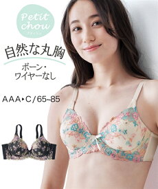 ブラジャー (AAA70-C85) プチ胸サイズ　着心地いいクッション包まれる ノンワイヤーブラジャー（プティシュ）ニッセン 女性 下着 レディース ブラ