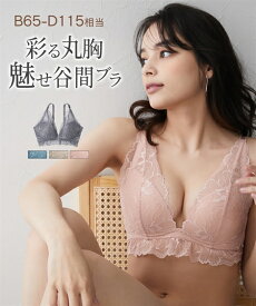 ブラジャー S M L n,WIRELESS 包んで持ち上げ デコルテ 変わる私の ノンワイヤー ブラジャー ニッセン 女性 下着 レディース ノンワイヤーブラ 小胸 谷間