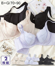 ブラジャー 脇高 ブラジャー 同色2枚組 ニッセン 女性 下着 レディース ブラジャー セット 脇肉 盛り 小胸 谷間 楽 かわいい下着 お買い得 ブラ 脇高 バストアップ