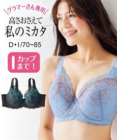 ブラジャー ニッセン グラマーサイズ ミカタのブラ 脇高 女性 下着 レディース ブラジャー フルカップ 単品 フルカップブラ かわいい下着 (G70-H85)