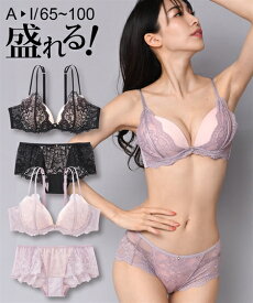 ブラジャー＆ショーツセット ニッセン 大きいサイズ サイドリフト レース ブラジャー ショーツ セット 女性 下着 レディース ブラショーツ セクシー (B85/LL-F100/5L)