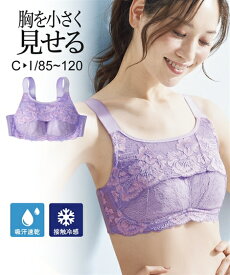 ブラジャー 大きいサイズ ニッセン 夏用 バスト 小さく見せる ノンワイヤー フルカップ ブラジャー 接触冷感 吸汗速乾 女性 下着 レディース ブラ (E85-F95)