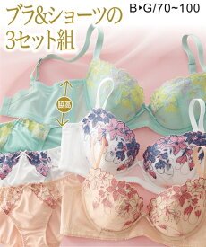 ブラジャー＆ショーツセット ニッセン 脇高 すっきり 刺しゅう レース ブラジャー ショーツ 3セット組 女性 下着 レディース 福袋 お買い得 まとめ買い (B70/M-D80/L)