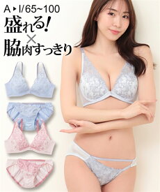 ブラジャー＆ショーツセット ニッセン 大きいサイズ 脇高 フェミニン ブラジャー ショーツ セット (ソフトワイヤータイプ) 女性 下着 レディース (G85/LL-I95/4L)