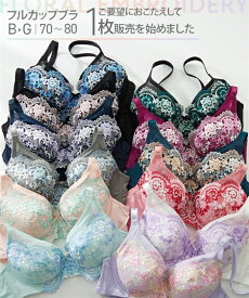 ブラジャー (B70-G80) ニッセン 花柄 刺しゅう フルカップブラジャー 女性 下着 レディース フルカップブラ 可愛い かわいい下着 人気 売れ筋 ブラ 下垂