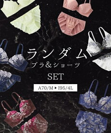 ブラショーツセット (A85/LL-I95/4L) 大きいサイズ ニッセン ランダム ブラショーツセット 女性 下着 レディース ブラジャー ショーツ セット ブラセット