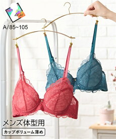 下着 インナー (A85-A105) 大きいサイズ ニッセン 【MTF】 エレガントレース MTF 脇高 ブラジャー LGBT トランスジェンダー 脇高ブラ