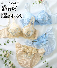 ブラショーツセット (A70/M-F85/LL) ニッセン 脇高 ビッグフラワー 刺しゅう ブラショーツ 女性 下着 レディース ブラジャー ショーツ セット 盛り 小胸 谷間 可愛い