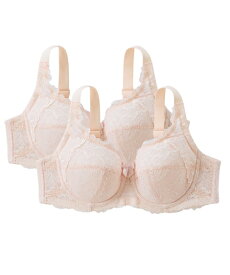 ブラジャー (B85 -H105) 大きいサイズ ニッセン カラフルパレット フルカップブラジャー 2枚組 (日本製レース) 女性 下着 レディース フルカップブラ 可愛い