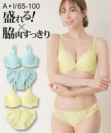 ブラショーツセット (A65/M-I80/L)　ニッセン 脇高 ヴェールレーシー ブラショーツ 女性 下着 レディース ブラジャー ショーツ セット 脇高ブラ セクシー 可愛い