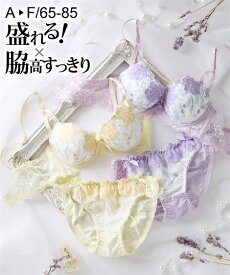 ブラショーツセット (A70/M-F85/LL) 大きいサイズ ニッセン 脇高 カールフラワー ブラショーツ 女性 下着 レディース ブラジャー ショーツ セット 盛り 小胸 谷間