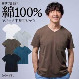 Tシャツ 半袖Tシャツ メンズ M-10Lサイズ 着回し豊富！ 綿100% お腹ゆったり ポケット付 Vネック 半袖tシャツ セルフフィット 大きいサイズ メンズ ニッセン