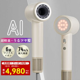 ＼半額！【SS限定】10,760円→4,980円／ドライヤー 速乾 2025年度モデル ヘアドライヤー 大風量 高速ドライヤー 速乾 6億マイナスイオン 軽量 高速ドライヤー 静音 静電気除去 コンパクト 人気 髪質改善 ヘアケア 美髪 1300W 時短 静音 恒温 ヘアサロン クリスマス