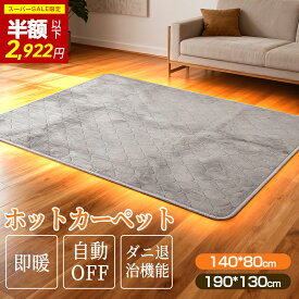 激安価格！『スーパーSALE限定✨2,922円』ホットカーペット 電気カーペット 電気フローリングカーペット ペット 電気毛布 長方形 ホットマット 電気マット 速暖 暖房 温度調節 切忘れタイマー 簡単 操作 ダニ対策 電気暖房 床暖房 防水 足元暖房 床暖房 暖房器具 冬