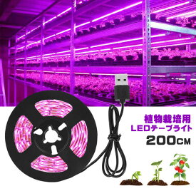 楽天市場 室内 野菜 Ledの通販 楽天市場 室内 野菜 Ledの通販