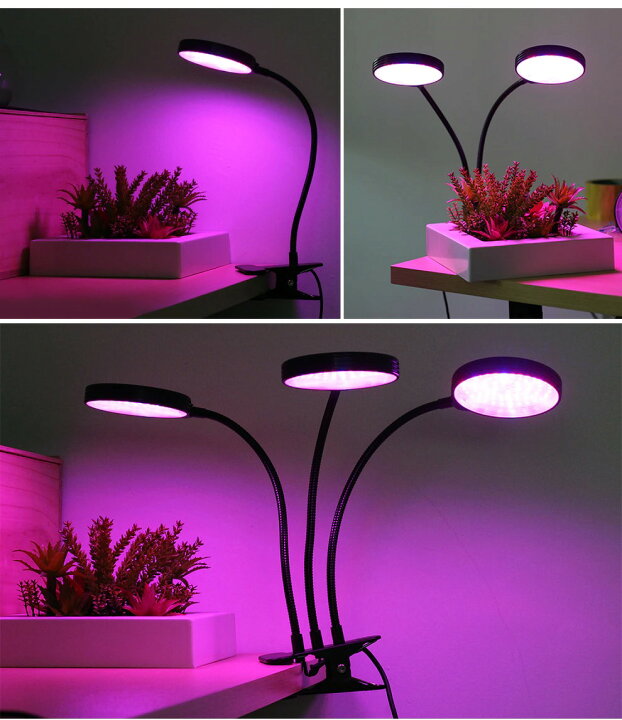 楽天市場】植物育成ライト LED 植物ライト 円盤3灯式 室内栽培ランプ 