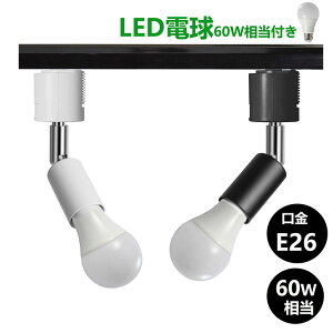 _Ng[p Ɩ X|bgCg E26   _Ng[ Ɩz_Ng[pƖ ԐڏƖ L Q Hp [Ɩ LEDd60Wt