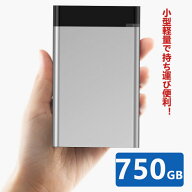 【楽天1位 5冠達成】外付けHDD 750GB ポータブル型 4k対応テレビ録画 PC パソコン mac対応 USB3.1/USB3.0…