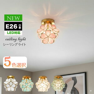 yyV1 6BzV[OCg 1 E26 ledΉ   V[O Cg Ԃт Ԍ^ KX  led ^V[OCg VƖ V䃉Cg ݂艺 Cg Ae