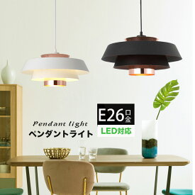 【期間限定！！今だけお得！！】ペンダントライト 1灯 ダクトレール用照明 ダイニング照明 食卓用 北欧 おしゃれ LED対応 キッチン 照明器具 リビング用 居間用 おしゃれ