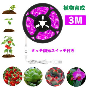 A琬Cg LEDAp LEDe[vCg^b`XCb`t Aipv LEDe[vCgh USBΉ 3m SMD3528 5V LEDe[v ƕs A琬 k͔|v ƒ؉ 