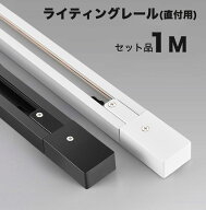 ダクトレール 1m セット 直付型配線ダクトレール ダクトレール レールライト100cm ブラック ホワイトライ…