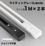 ダクトレール 黒 白 1m×2本組 2m ジョインタ付属　直付専用型 配線ダクト ライティングレール ブラック …