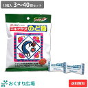 エキナケアのど飴 15粒入 3～40袋セット 松浦薬業 送料無料 | ノンシュガー のど飴 喉あめ のどあめ 日本製 バンラン…