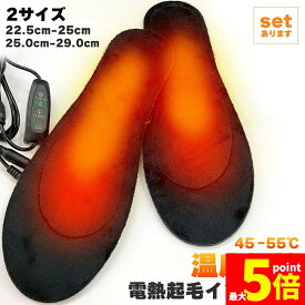★期間限定！ポイント5倍★電熱インソール 中敷き ヒートインソール USB加熱式 温度調節 タイマー機能 2サイズ 足元暖める 防寒対策 冬用 電熱 防寒具 電熱ウェア 靴底 下着 フットウェア インソール 男女兼用 USB接続
