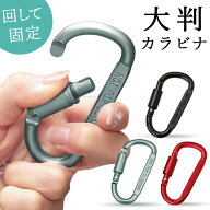 カラビナ D型 ネジロック付き 大きめ フック ロック 固定 吊り下げ Dリング キーホルダー キャンプ アウ…