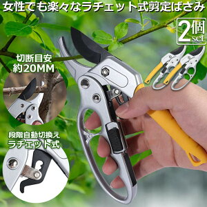 ΂ `Fbg 2Zbg  |p͂ }؂΂ A~ `Fbg΂ ɂ y }  ~ 뉀 A  } K[fjO nT~ ^ 