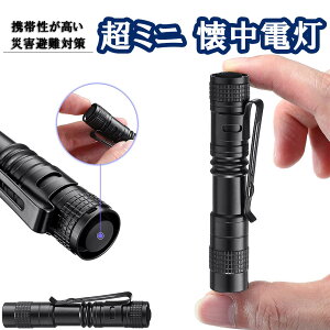 d LED d ^ yCg tBK[ nfB LEDCg ~j y A~jE IP65 Oh Nbvt gѕ֗  h Cg nfBCg PldrΉ 