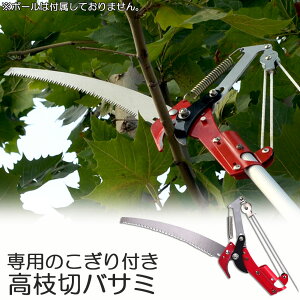 }؂oT~ [v }؂̂ }mRM }؂oT~ } y ͂ K[fjOpi  ʎ ̎ } nT~ | K[fjOpi